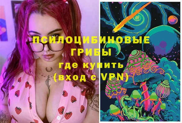 винт Нея